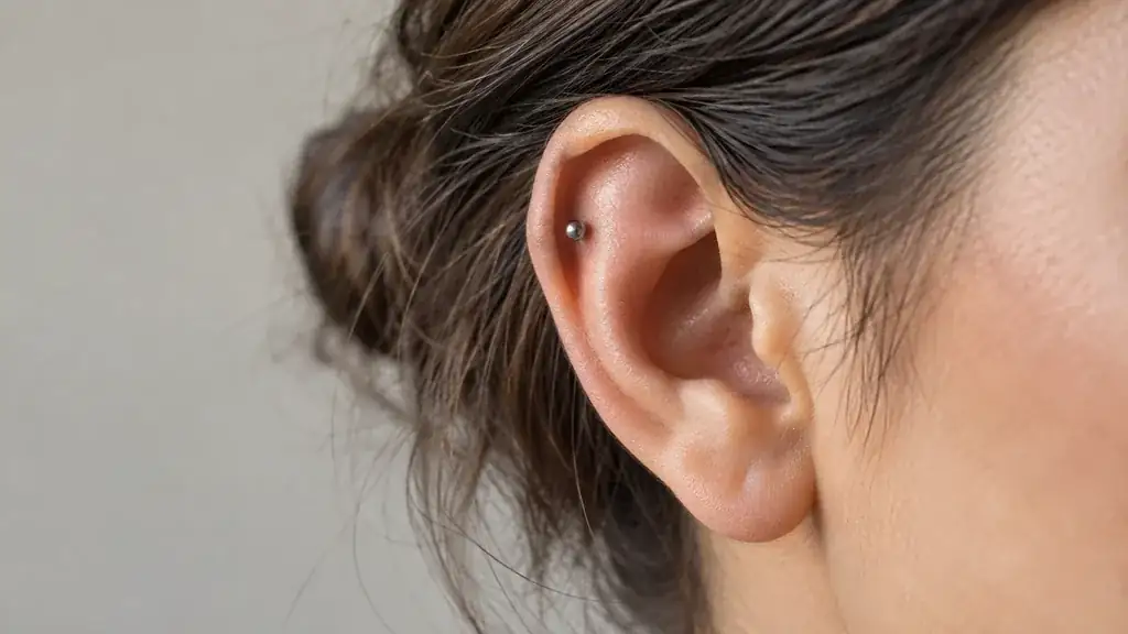 Petit bijou en titane placé sur l’anti-hélix d’une oreille adulte